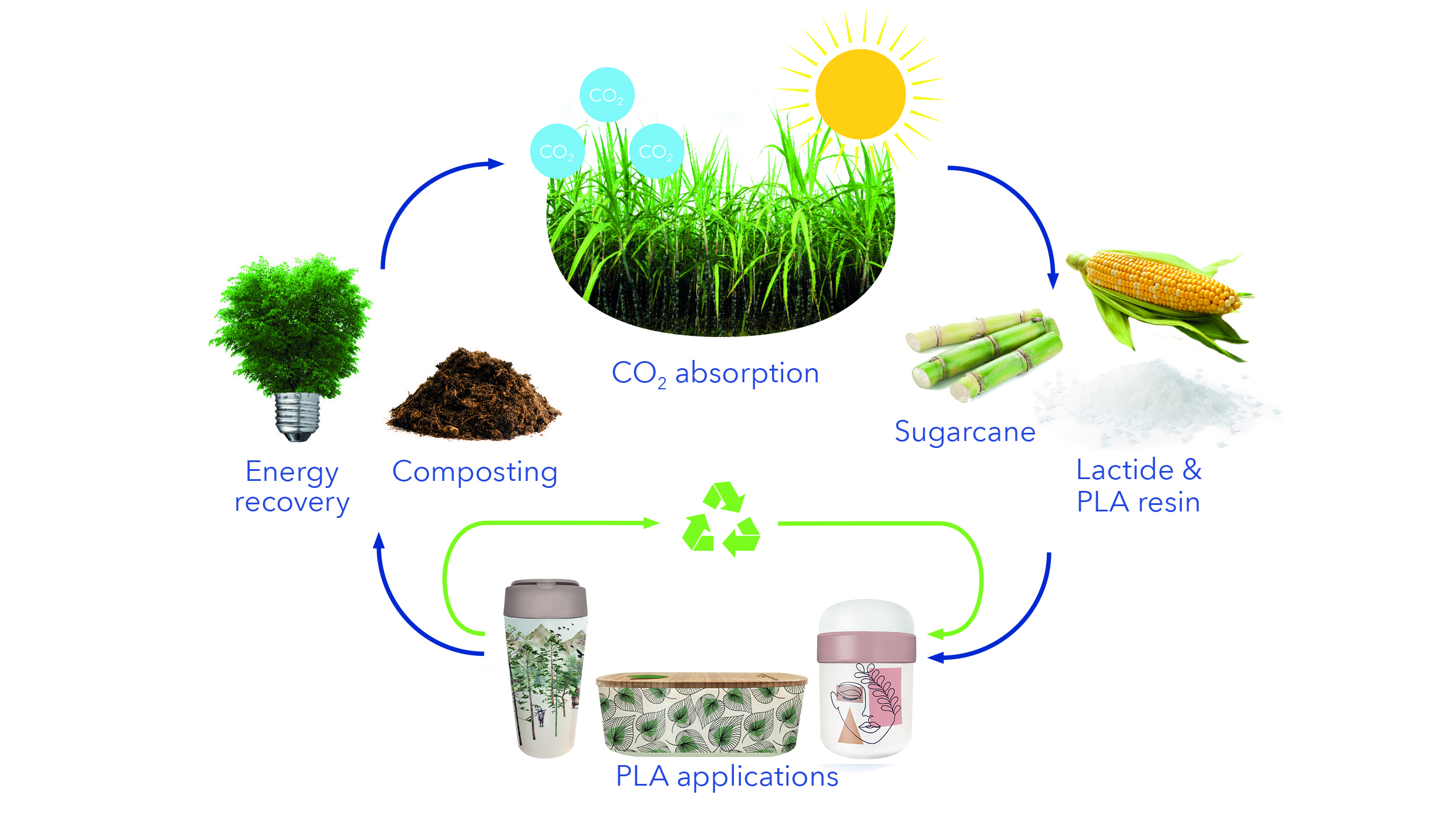 PLA Process